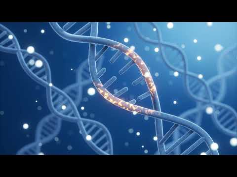 Материнські Гени Пов’язані з Втратами Вагітності в Оригінальному Дослідженні