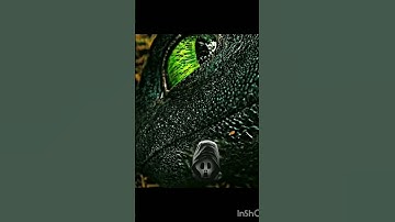 How to. train a dragon #toothless#edit