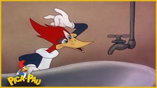 Download Lagu Pica-Pau em Português | Amigos de banho | Desenhos para crianças MP3