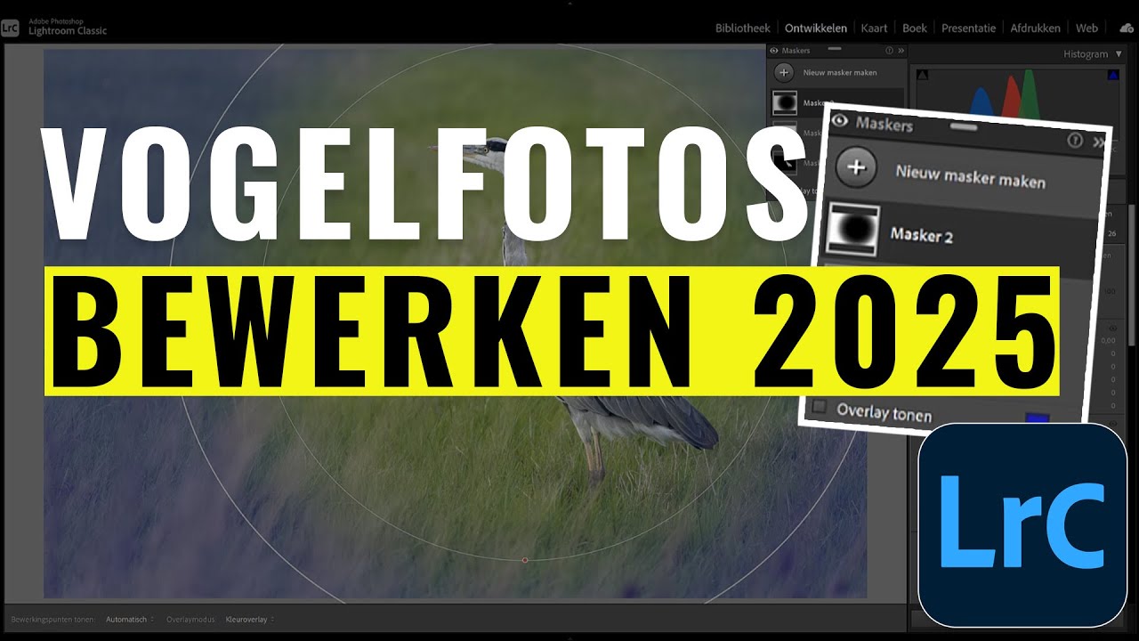 Tips voor het bewerken van vogelfoto's in Adobe Lightroom Classic 2025