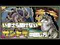 【いまさらシリーズ】いまさら聞けないサンダー・ドラゴン（サンドラ）の回し方【遊戯王デュエルリンクス】