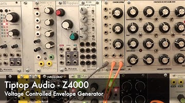 Tiptop Audio - Z4000 Envelope Generator (Review & Patch Examples)