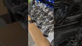 These things aren't only pretty to look at and hear, they give real HP gains 🦾