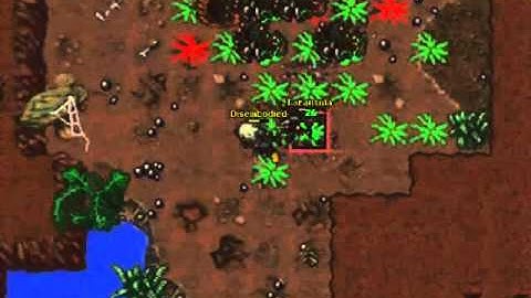 Tibia: Tarantulas + Hide!