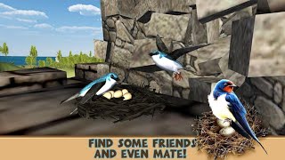 Swallow Simlator - Flying Bird adventure (gameplay). screenshot 1