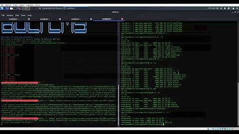 TryHackMe #155 Erit Securus I