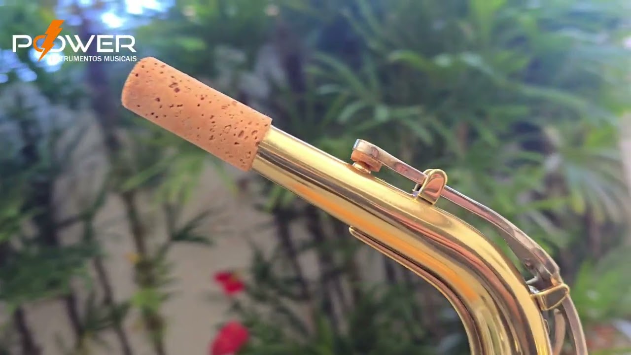 Sax Alto Yamaha YAS-21 Laqueado Mib (Usado)