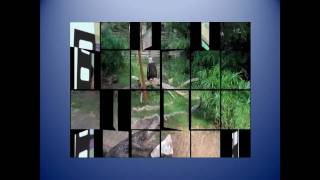 J. Dubey - K-W-L Charts