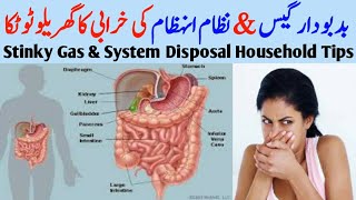 Nizam Hazam ki kharabi ka ilaj/Badhazmi/Digestive problem and treatment, healthy tips, hazme ka ilaj