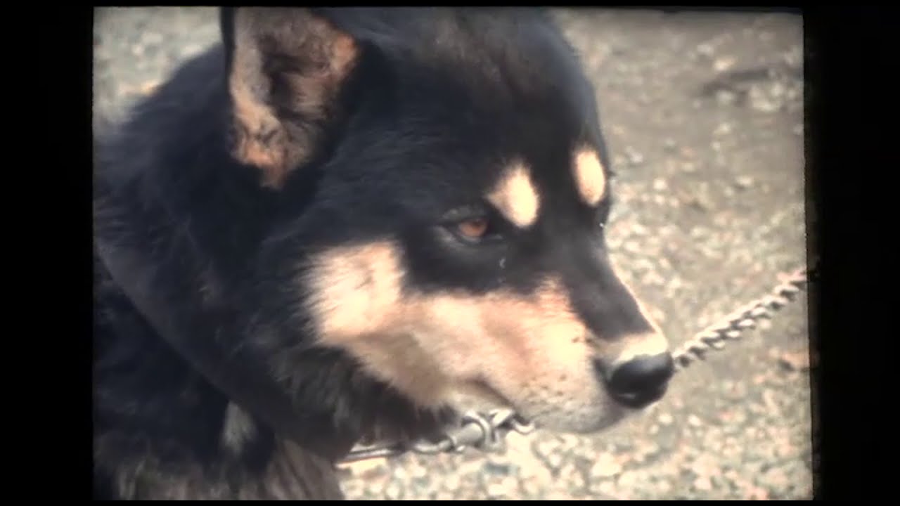 말도 중요한 일이다.