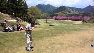 ドライバーをナイスショットする昭さんは八重桜に感動!