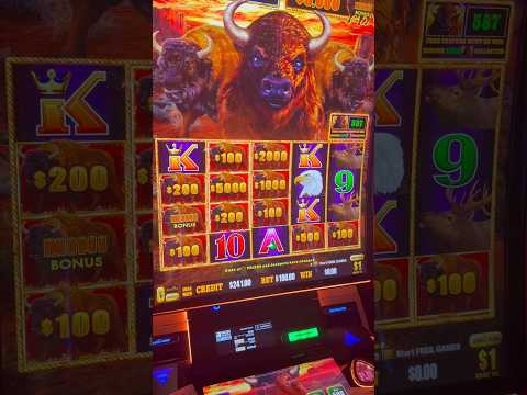 THE BIGGEST WIN OF MY LIFE! #gambling #casino #money #comedy #slots