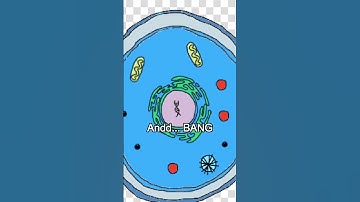 Adding Organelles to My Cell Game! #gamedev #indiedev