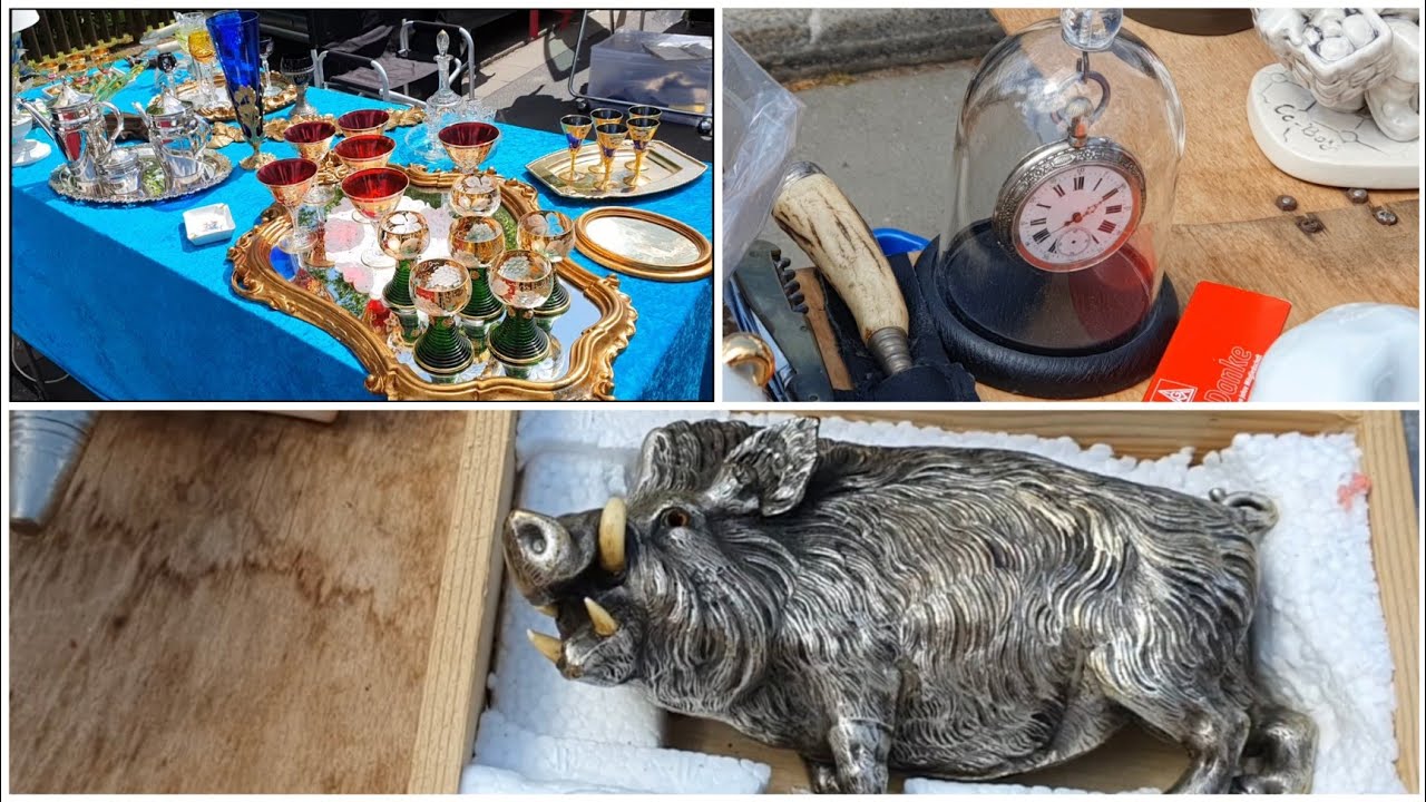 TARG STAROCI - UDANE ŁOWY  