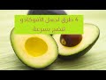 اربع طرق لجعل الأفوكادو تنضج بسرعة وتصبح جاهزة للأكل 