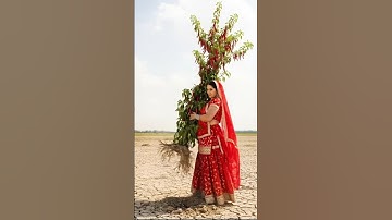 Mongoose watered the red chilli plant and saved it from drying up 😭 #tree #ai #save #watering