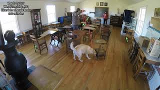 Molly Mar 7 20 Elite Schoolhouse Rocks