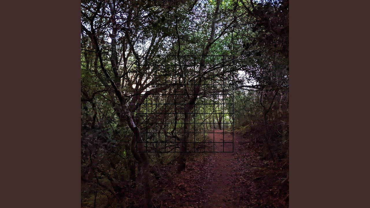 Watch Distraction on YouTube Watch Distraction on YouTube