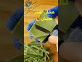 عشان نقدر نعيش