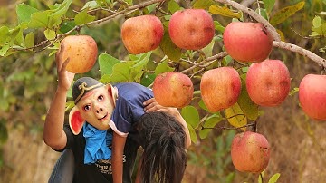 Survival Skills: SMART ideas and USEFUL In Forest With Single Mom #outdoors #survival #camping #fyp