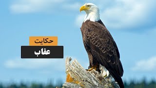 عقاب | حکایت پند آموز