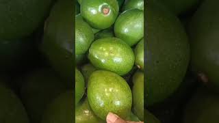 INFO SEHAT !! BUAH SEGAR, MURAH, MUDAH DIDAPAT UNTUK DIET EFEKTIF, TURUNKAN BERAT BADAN.