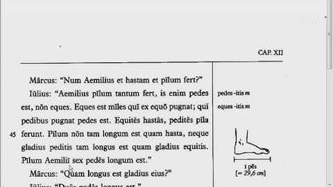 Lingua - 12.2 - Reading Tutorial