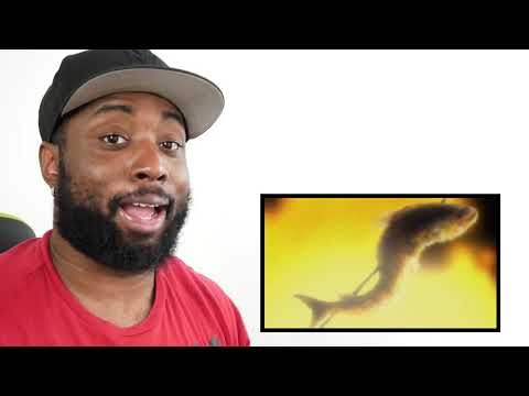 SERIES FINALE | Samurai Champloo REACTION & REVIEW - Episodes 24, 25 & 26