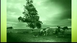 Version 2 of the video