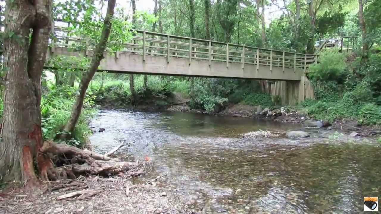 ORTIGUEIRA - Río Mera y la isla