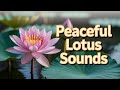 Relaxing Background Music - Relaxing Music - Lotus Flower