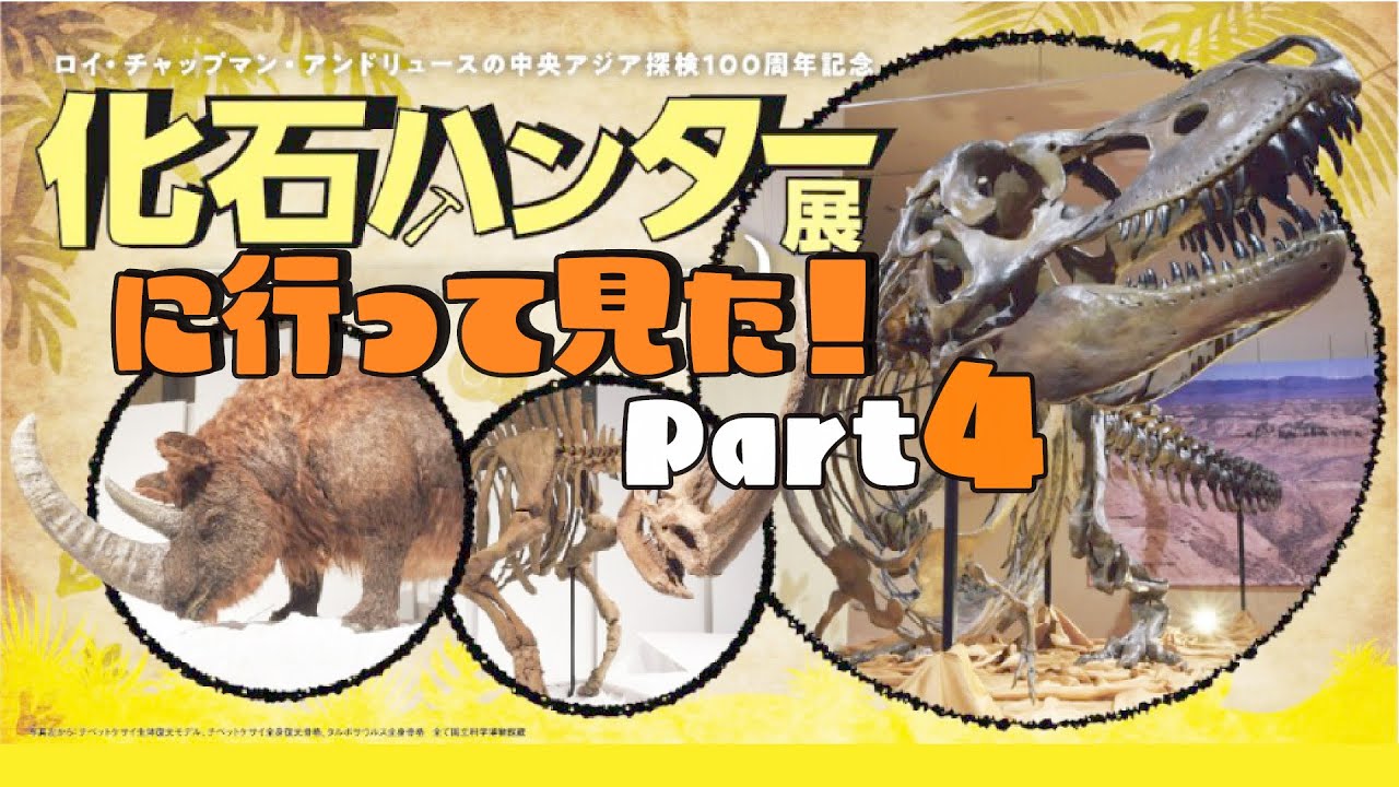 BSN新潟放送｜イベント＆プレゼント｜化石ハンター展 in 新潟県立万代