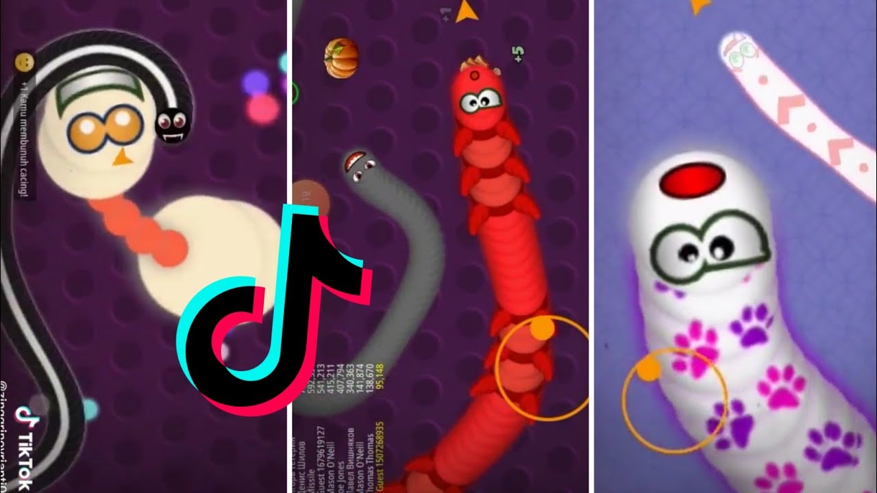 TikTok WormsZone io Compilation Video  Best Tik Tok Worms Zone io Gameplay Compilation   1