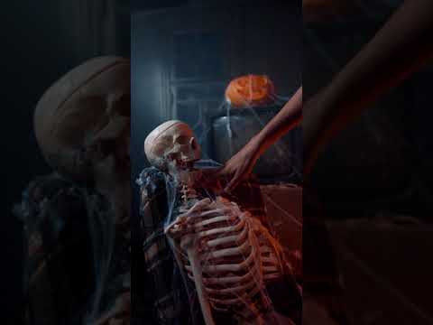 هيكل الانسان 