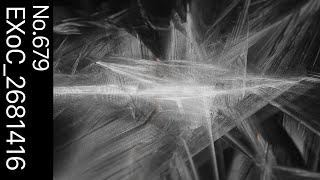 【TouchDesigner & Logic Pro】EXoC 2681416