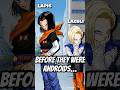Who Were Androids 17 and 18 BEFORE They Were Androids? #dragonball  #dbz #dbzs