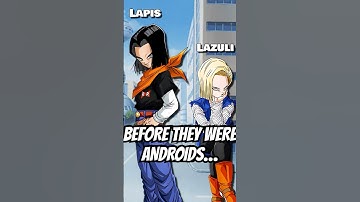 Who Were Androids 17 and 18 BEFORE They Were Androids? #dragonball  #dbz #dbzs