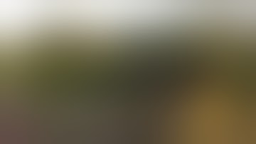 D.I.A. Sharp, Sharp_Trailer 01