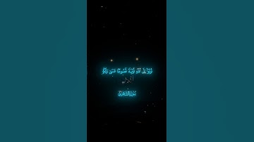 ♡ ماهر المعيقلي ♡ سورة التحريم الآية [8] #سورة_التحريم #ماهر_المعيقلي #راحة_نفسية #تلاوة_خاشعة #fypシ