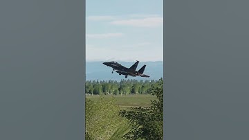 new pilot struggles to get perfectly fine aircraft on the runway #fake #dcs