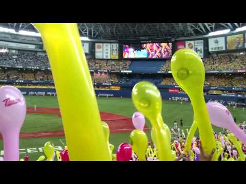 2015/8/11 阪神タイガースVS中日ドラゴンズ @京セラドーム大阪