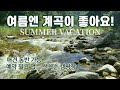 예약 필요 없음/선착순/잣나무/그늘 많은 곳/영월 계곡 캠핑장/강아지 애견 동반/여름휴가/차박 계곡/계곡 캠핑/ASMR