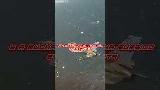 Puede Estados Unidos 🇺🇸 desactivar los F16 venezolanos 🇻🇪?