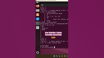 LINUX BASH: Interactieve foutdetectie en syntaxiscorrectie