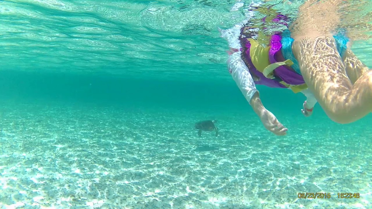 Snorkeling 2 Deadmans Reef Paradise Cove Freeport Bahamas YouTube