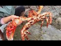 Snow crabs from Alaska. Orange giant pearl scallops