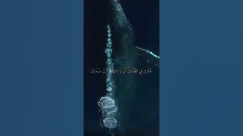 تلاوة هادئة تريح القلب  💚أيات قصيرة من القرآن 💚بصوت جميل جداً 💚أجمل تلاوة تريح القلب والعقل 🎧💗