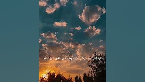 قراءة من سورة فاطر للشيخ حامد صلاح الدين طنطاوي.