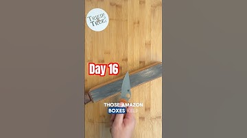 Retesting Day 1️⃣6️⃣: Spyderco Paramilitary 2 Rex45 #triedandtrueedc #testing #spydercoknives