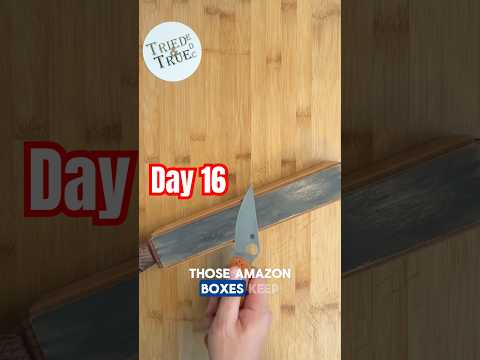 Retesting Day 1️⃣6️⃣: Spyderco Paramilitary 2 Rex45   